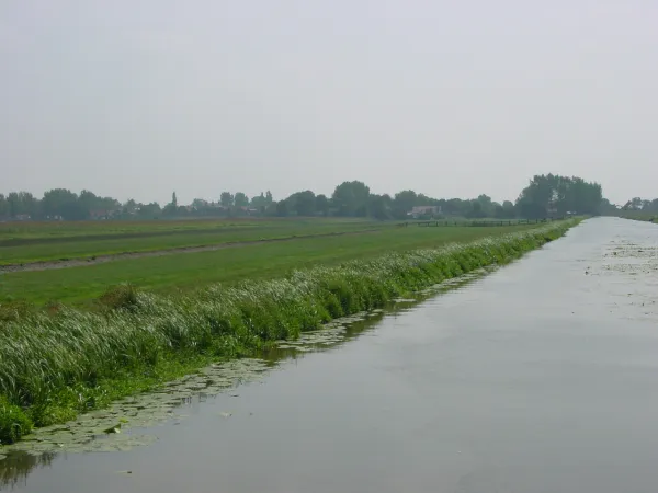 redelijke bedekkingsgraad oeverlijn