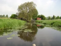 goede bedekkingsgraad